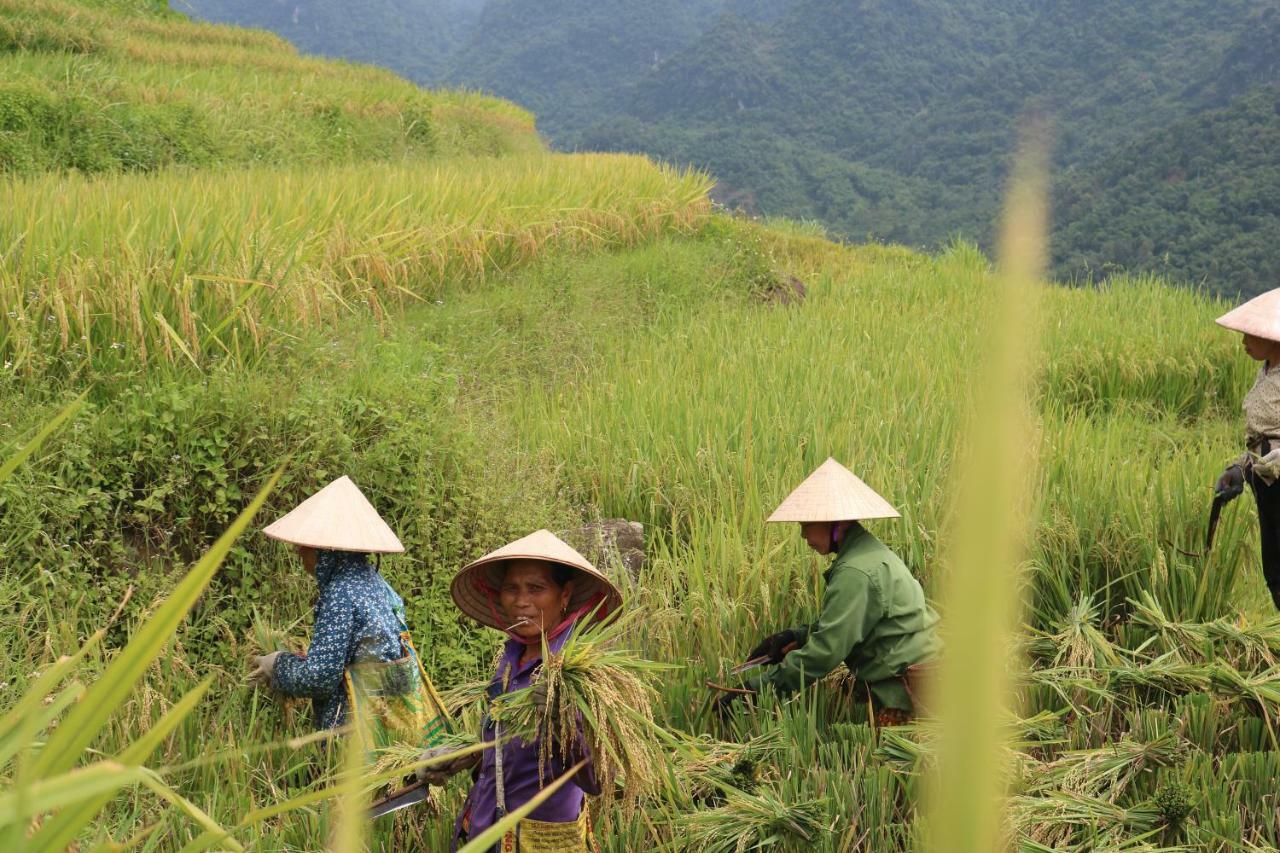 Pu Luong Ecolodge Kültér fotó